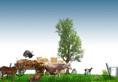 #وزارة_الزراعة تنشر متوسط أسعار الجملة والتجزئة للحوم والخضار والفاكهة والحليب خلال الأسبوع  الأول من شهر شباط 2025